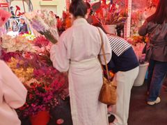 -越秀西湖花市(广州城市广场花卉店)