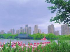 -青枫公园
