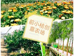 -前小桔亲子创意农场·草莓采摘·露营烧烤