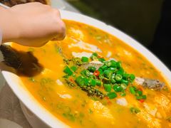 鲜椒豆花鲈鱼-川味堂·四川豆花(八卦岭店)