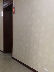 -南京医科大学友谊整形外科医院