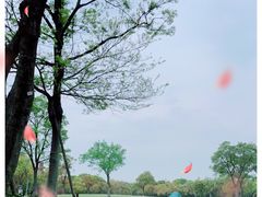 -上海吴淞炮台湾国家湿地公园