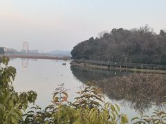 -月湖风景区