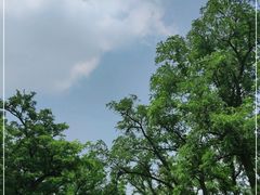 -元大都城垣遗址公园