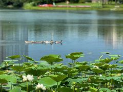 -武汉园博园(武汉自然博物馆)