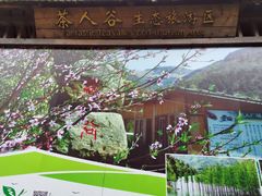 -东海大峡谷