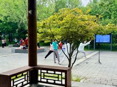 -莲花池公园