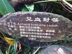 -呀诺达热带雨林