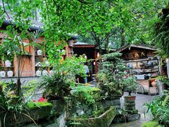 -青城甲(青城山店)