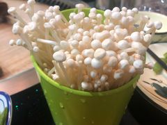 金针菇-三里屯土灶炖公鸡地锅鸡(江东店)