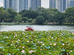 -荔湾湖公园