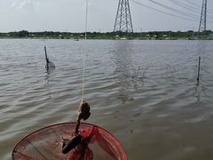 -梁鸿国家湿地公园