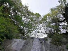 -王顺山国家森林公园
