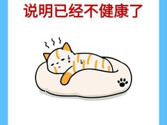 -美联众合动物医院·24h转诊中心