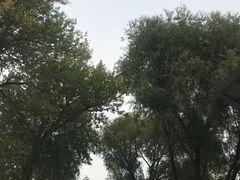-北戴河集发农业梦想王国
