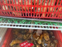 -太婆天府山珍酒楼(亚运村店)