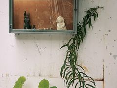 -知亘茶食