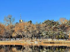 -长春市南湖公园