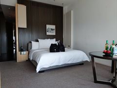 -上海柏悦酒店