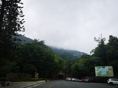 -广州市流溪河国家森林公园