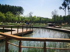 -东郊湿地公园