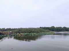 -白洋淀景区