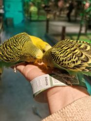 -酷嗒动物文化乐园(cutezoo西溪乐天城店)