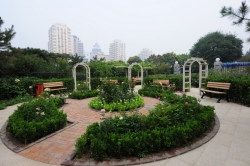 -中央音乐学院歌剧音乐厅