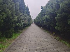 -秦始皇帝陵博物院-丽山园