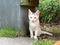 -东华大学(松江校区)