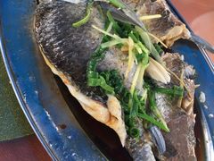 蒸皖鱼-龙泉山庄(红山店)