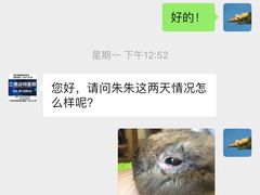 -立德动物医院·异宠·CT·鹦鹉(天河店)