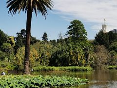 -墨尔本皇家植物园