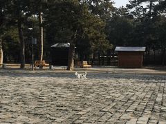 -清西陵