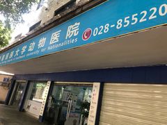 -成都民大动物医院
