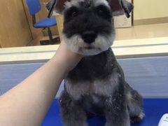 -芭比堂动物医院广州顽皮分院