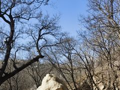 -北京西山国家森林公园