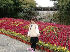 -学知乐教育·幼小衔接·小学科辅导(嘉定镇校区)