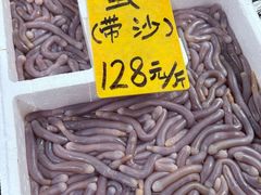 -寻味顺德·南记酒家·传统顺德菜·鱼生(广源路店)