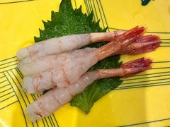 -京樽回転寿司(奥林匹克店)