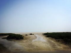 -北海金海湾红树林生态旅游区