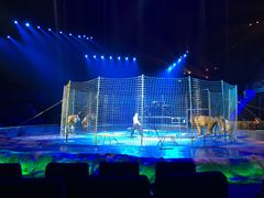 -珠海横琴长隆《卡卡虎奇遇记》