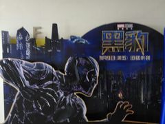 -武汉华夏国际影城(鲁广店)