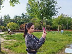 -昆山城市生态森林公园