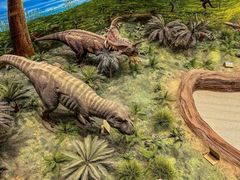 -辽宁古生物博物馆