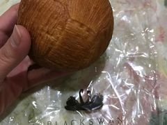 -BLACKSWAN黑天鹅(环球店)