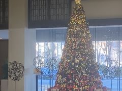-天津东凯悦酒店·大堂吧