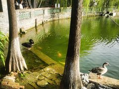 -东莞市可园博物馆