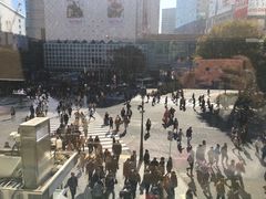 -涩谷区