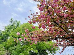 -团城山公园